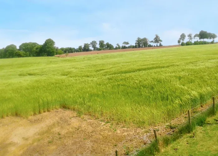 Maison Charmante A Avec Piscine Partagee * Notre-Dame-du-Touchet